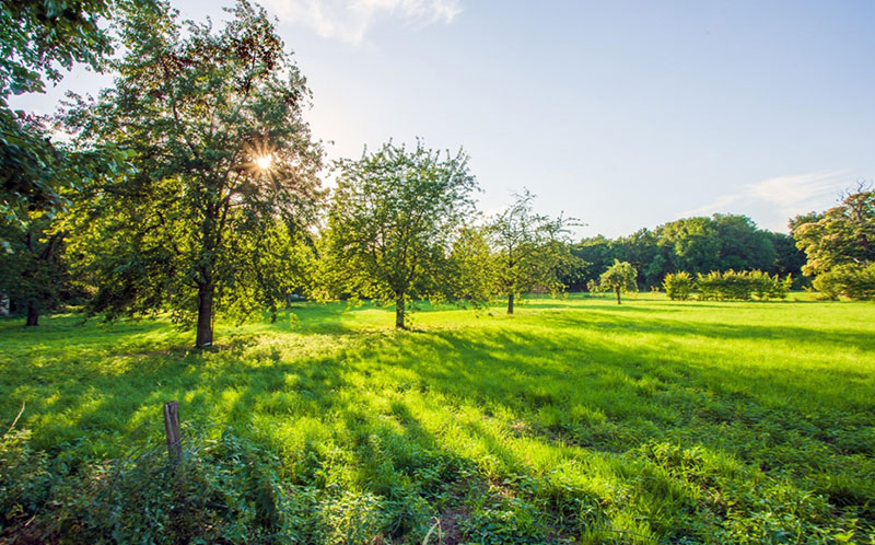 Natuur nabij Maastricht