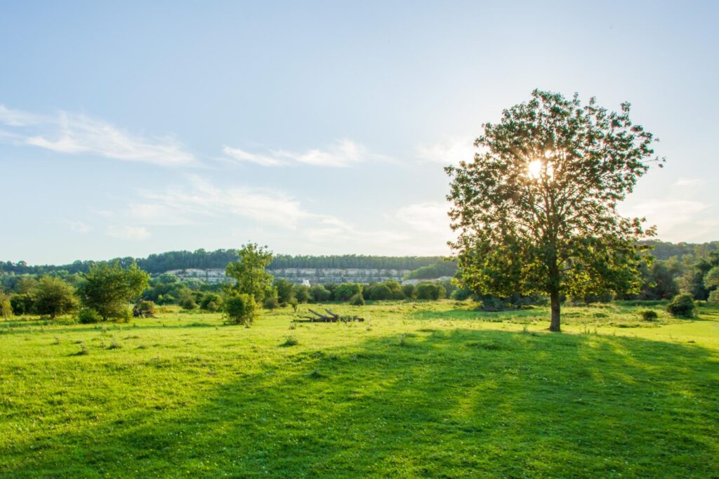 Eén van de vele prachtige plekken in de Zuid-Limburgse natuur rondom deze bijzondere vakantie accommodatie.